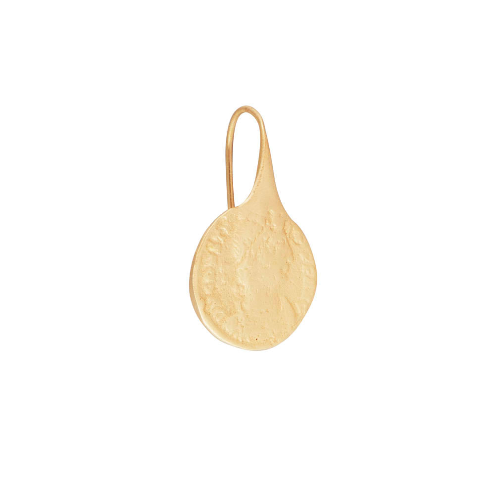 GOLD ANCIENT COIN HOOKS